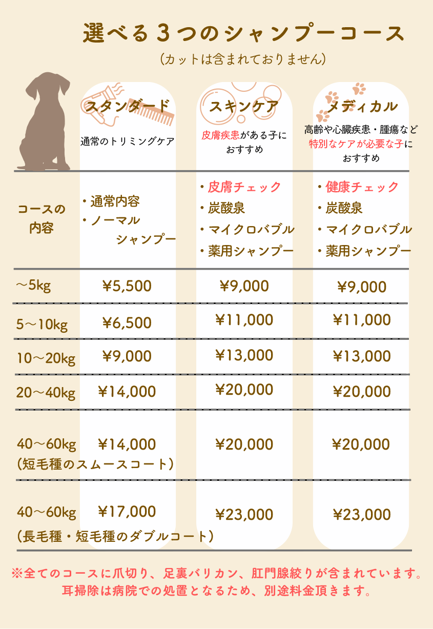 選べる3つのシャンプーコース