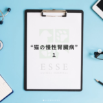 猫の慢性腎臓病について