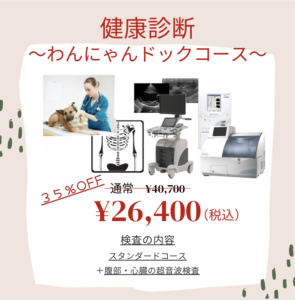 健康診断わんにゃんドックコース