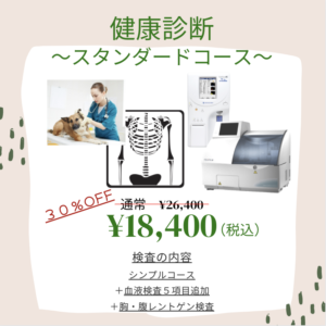健康診断スタンダードコース