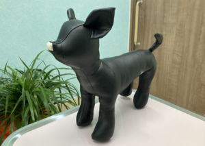 チワワのクロちゃん