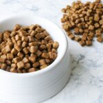 器に盛られたドッグフード