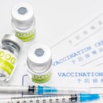 犬の予防接種イメージ