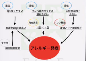 アレルギーを発症するメカニズム