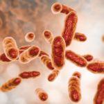 歯周病菌のイメージ
