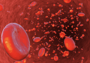 血管を血液が流れている様子