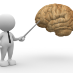 脳について解説するイメージ画像