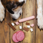 犬の目の前に並ぶ食べ物