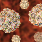 パルボウイルスのイメージ図