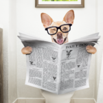 トイレで新聞を見る犬