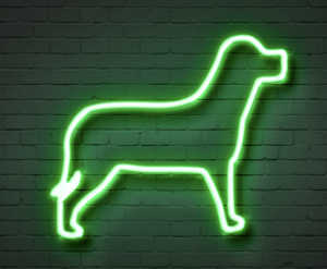 ネオンで光る犬