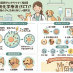 電気化学療法とは？