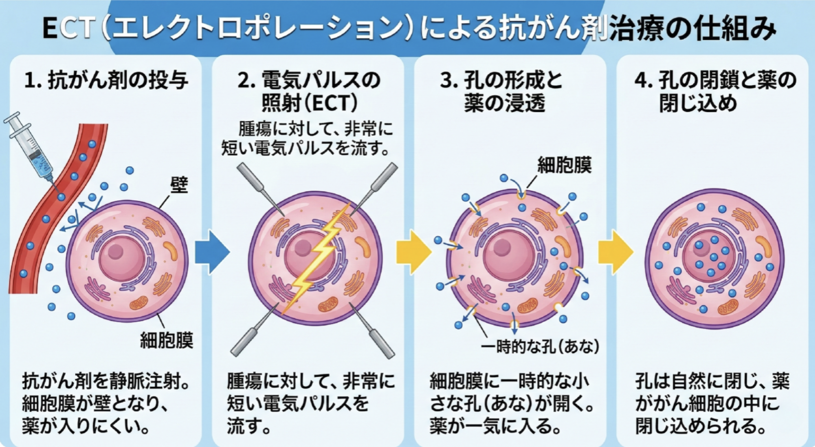 電気化学療法の仕組み