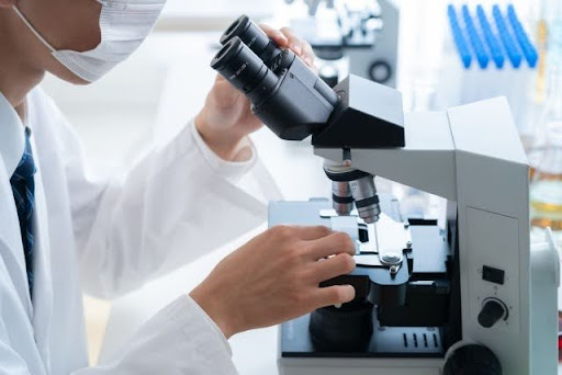顕微鏡でスライドを確認する人