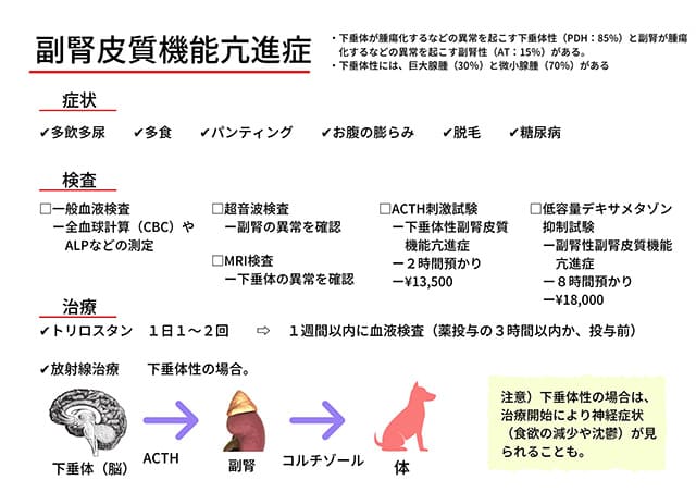 検査結果の説明・治療方針のご相談