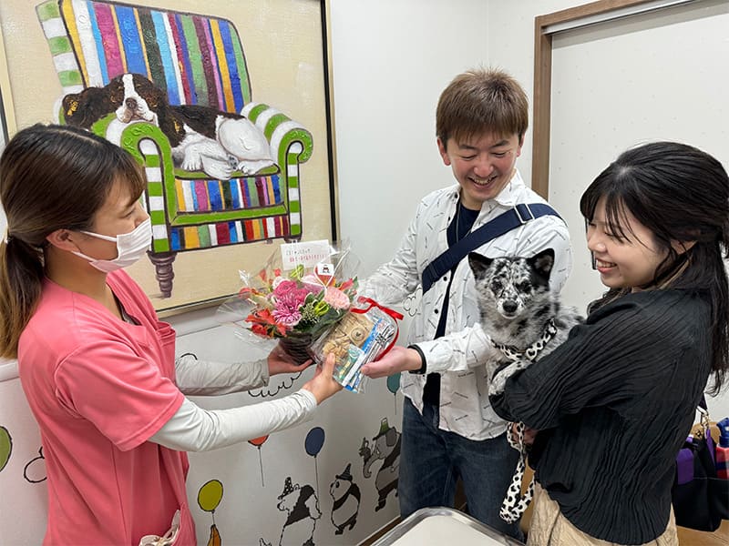 お花と動物用のお菓子をプレゼント