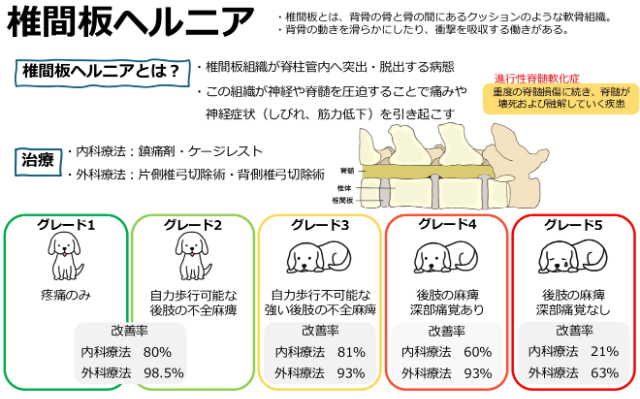 検査結果の説明・治療方針のご相談