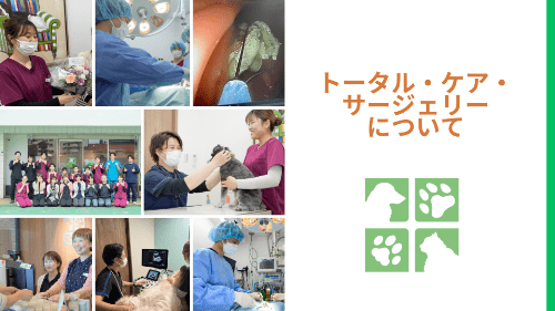 トータルケアサージェリーについて