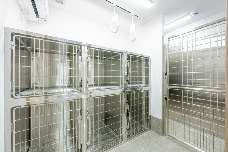 入院室1（犬舎）