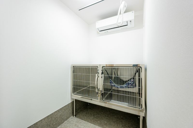 入院室2（猫舎）