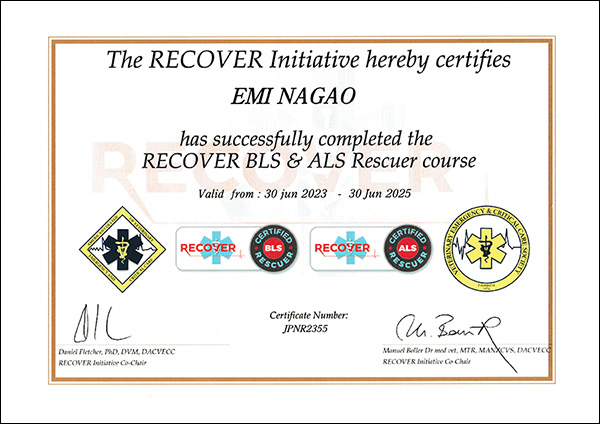 動物看護師 長尾の認定証