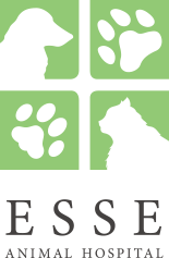 ESSE動物病院宝塚