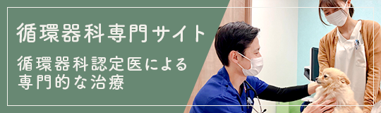 循環器科専門サイト