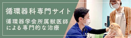 循環器科専門サイト