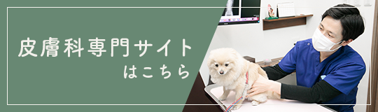 皮膚科専門サイト