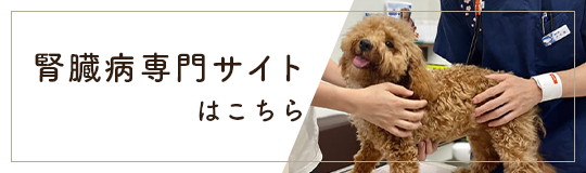 腎臓病専門サイト