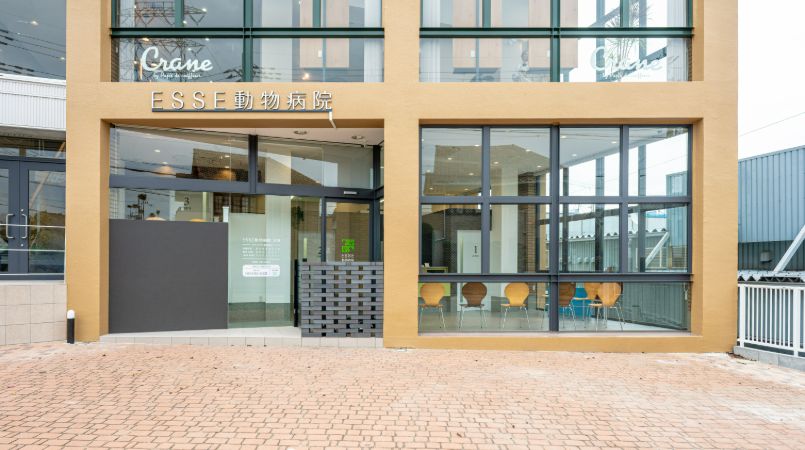 予防医療～外科手術まで、様々な科目に対応しています。