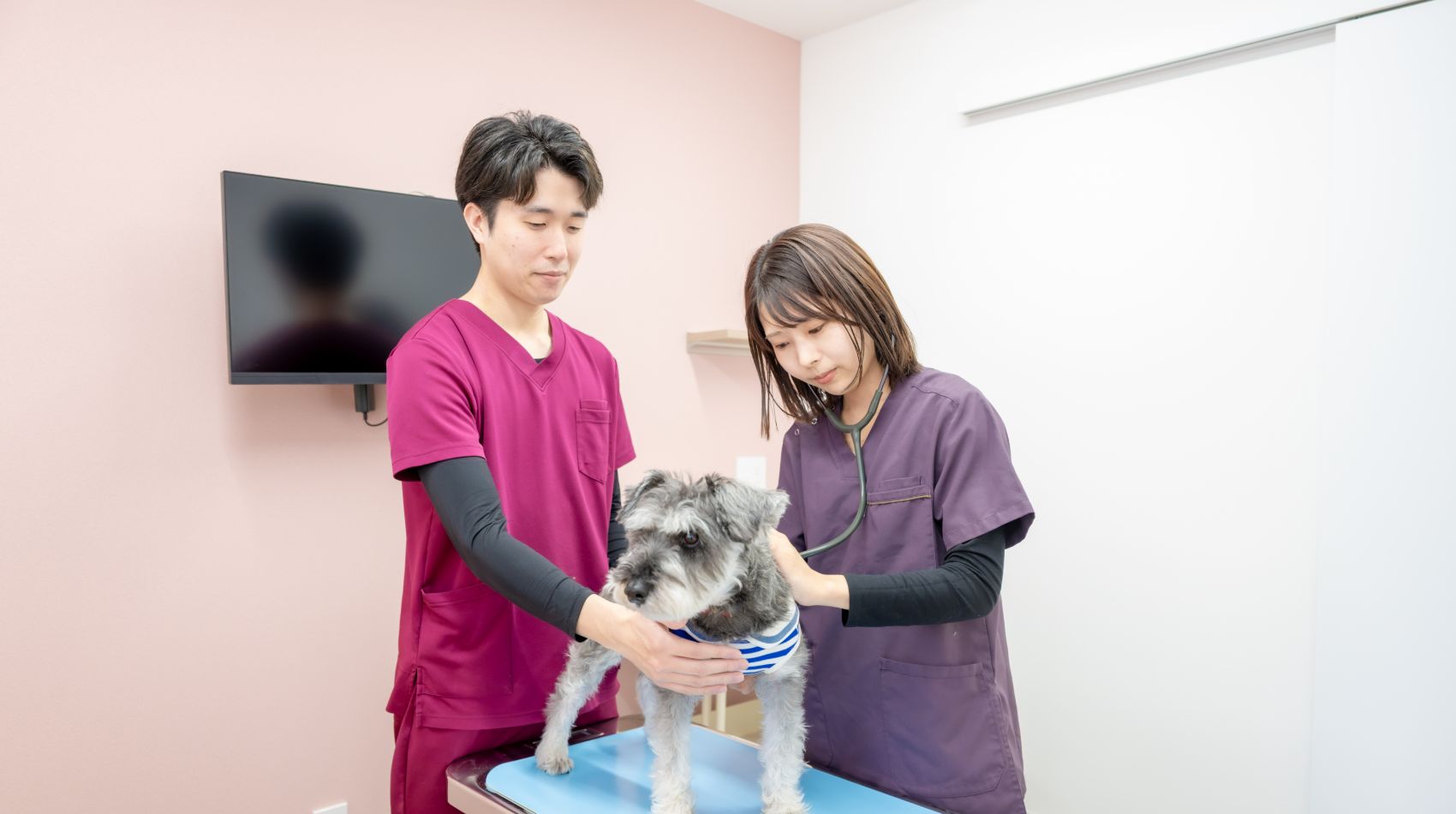 当院の強みは、皮膚科・腫瘍科・腎泌尿器科・外科です。