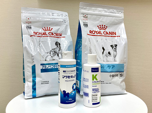 皮膚科・腫瘍科との「専門科連携」