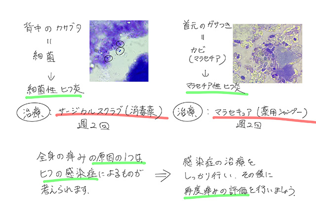 診断・治療方針の決定