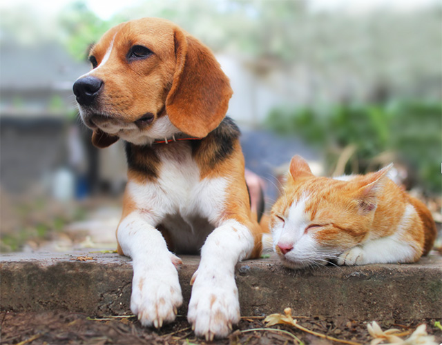 「元気な時間を作る」という信念