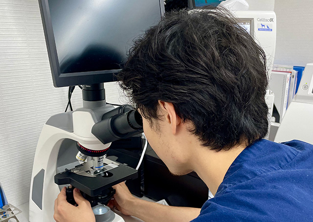 精密検査（細胞診・エコー・ダーモスコピー）