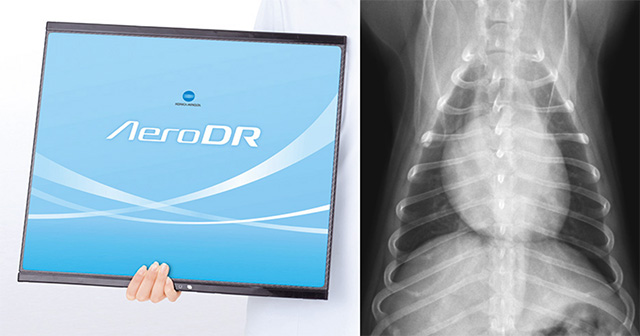 最新DR（デジタルレントゲン）による負担の少ない検査