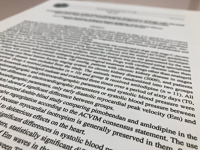 心臓と腎臓を同時に守る「バランス診療」