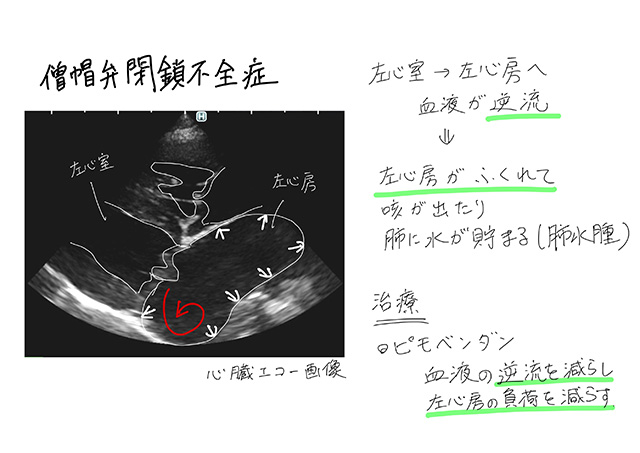 図解を用いた「納得できる説明」