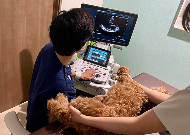 精密検査の実施