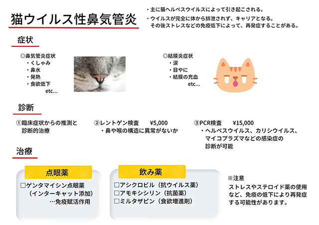 診断と治療方針のご相談
