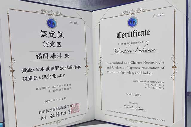 専門的な内科管理（IRISガイドライン準拠）