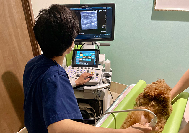 ホルモン精密検査