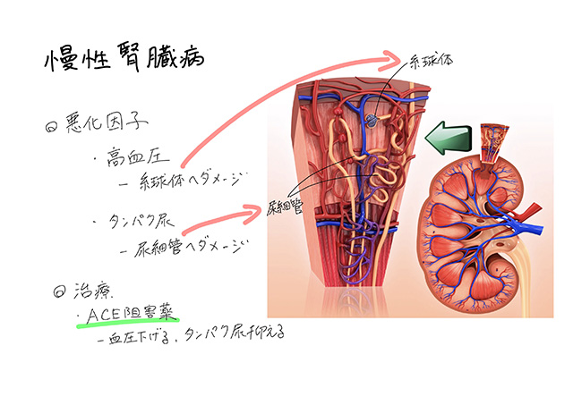 診断とオーダーメイド治療の提案