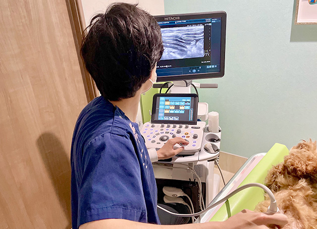 精密検査（便・血液・画像）