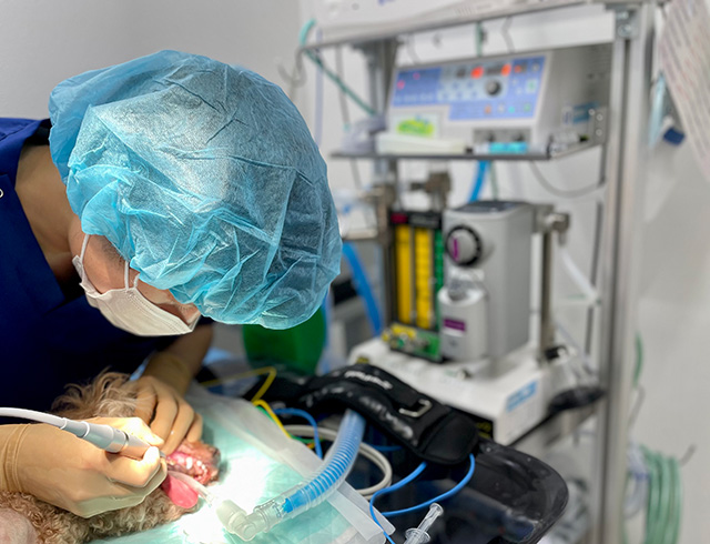 徹底した「再付着防止」ポリッシング