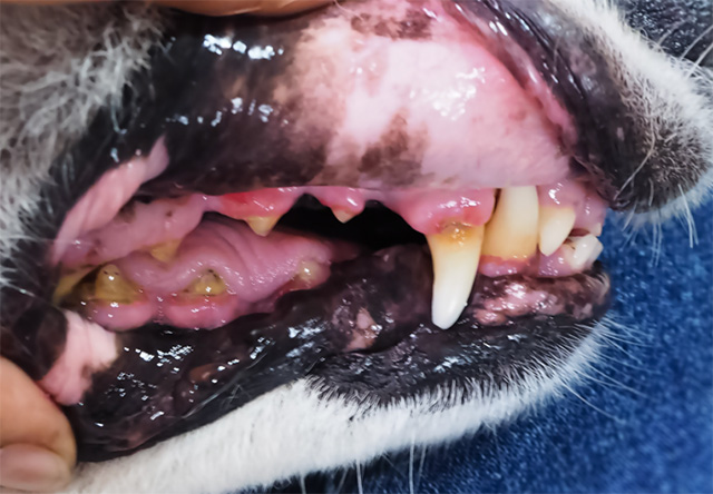 腫瘍認定医による「ついで」ではない精密チェック