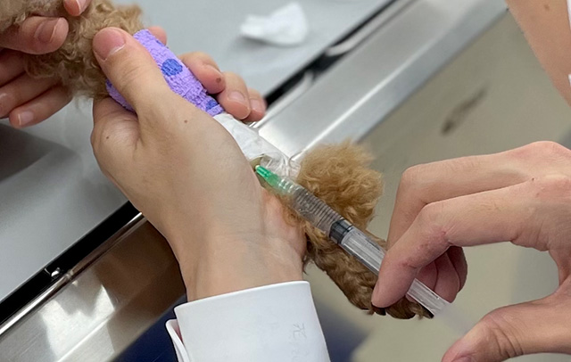 発作の「通常管理」から「緊急対応」まで