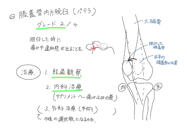 診断と治療方針のご相談