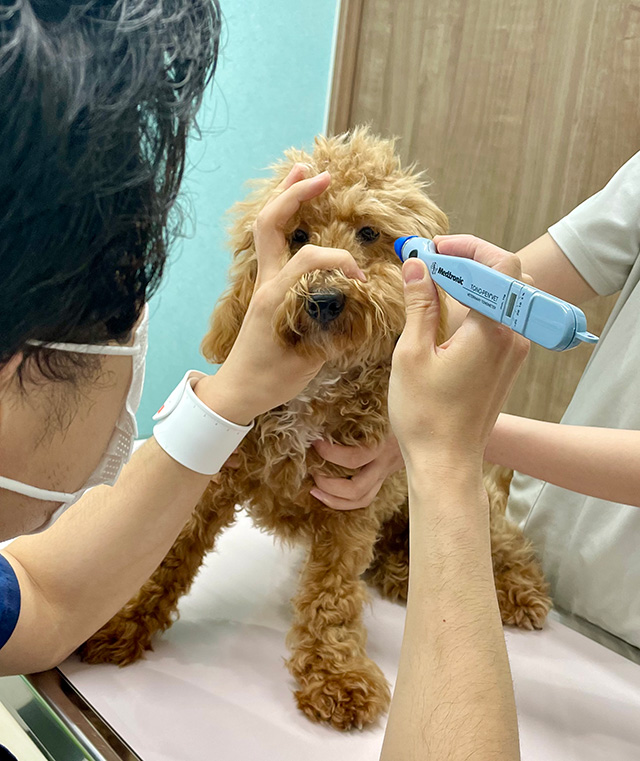 精密検査（眼圧・エコー・眼底）